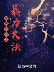 全职法师之暴力火法十放烟雨