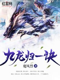 九龙归一诀陆沉纵横网
