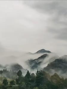 神秘复苏免费