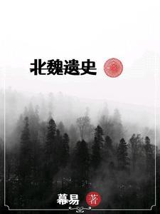 北魏资料