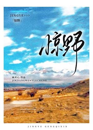 惊野by耿其心txt