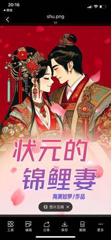 状元爷的小福妻