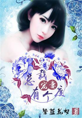 总裁宠妻有术