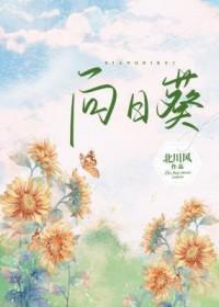向日葵10月15日盘中涨停