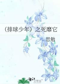 排球少年suna