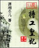 11处特工皇妃讲的什么故事?
