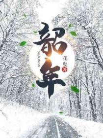 韶年抚岁月