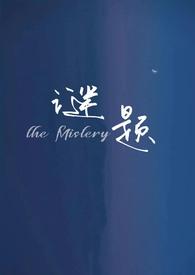 谜题是什么