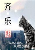 齐乐人和谁在一起了