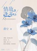 情逢敌手1080p