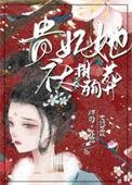 贵妃不想努力了