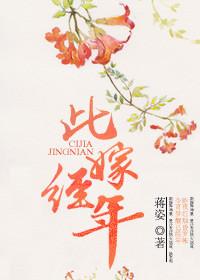 此婚已经年结局