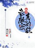 宋慈