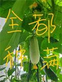 修真界都把我当团宠 百度