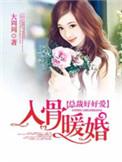 入骨暖婚大叔