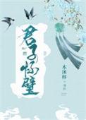 君子怀璧全文阅读