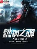 燃钢之魂扫书