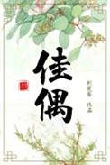 佳偶天成电视剧免费观看完整版全集