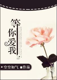 等你爱我中国好声音