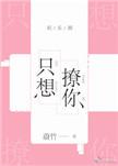 只想撩你娱乐圈无防盗