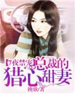 总裁的七夜欢恋
