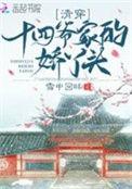 以十四爷为主角的清穿文