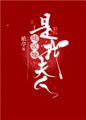 夫人是我什么意思