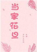 当家花旦讲了什么