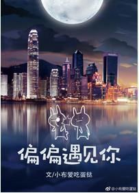 偏偏遇见你太晚什么歌