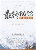 最终BOSS的职业素养TXT