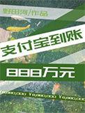 支付宝到账888万txt