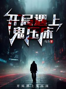 暗夜守护者之最后的英雄