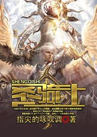 圣骑士游戏