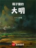 箱子里的大明笔趣阁免费阅读