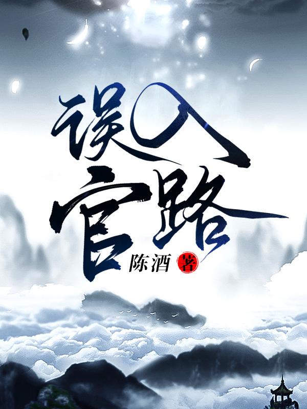 误入官场无错网