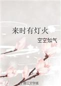 来时有灯火番外111章截图