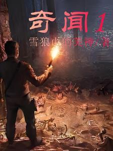 奇闻大案故事会