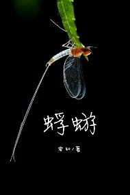 蜉蝣的一生