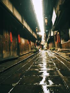 掠夺计划[综