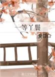 一等丫鬟穿什么衣服