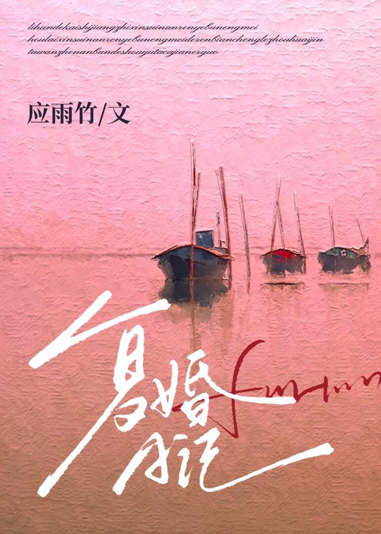复婚日记 晋江