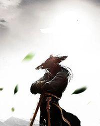 武极神王主角